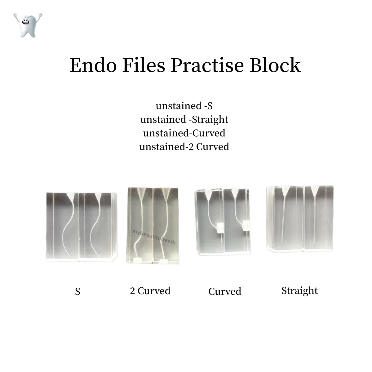 

Dental Endodontic Root Canal Teaching Study Model Rotary Files Practise Transparent S-Curved Straight