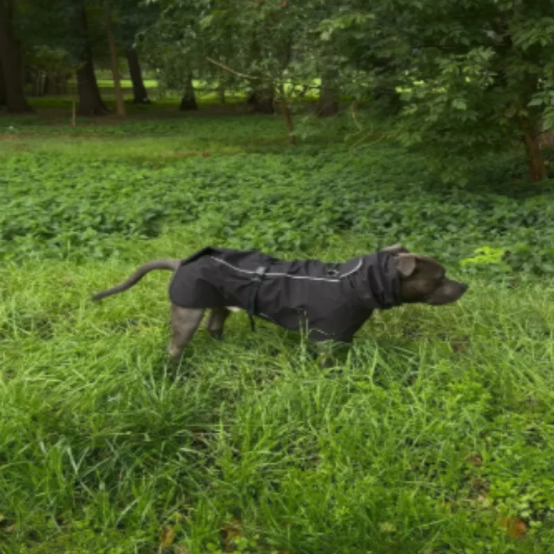 في الهواء الطلق الحيوانات الأليفة مقاوم للماء عاكس قابل للتعديل الكلب معطف واق من المطر كيب لابرادور الذهبي المسترد فصيل كورجي الكلب الملابس #3