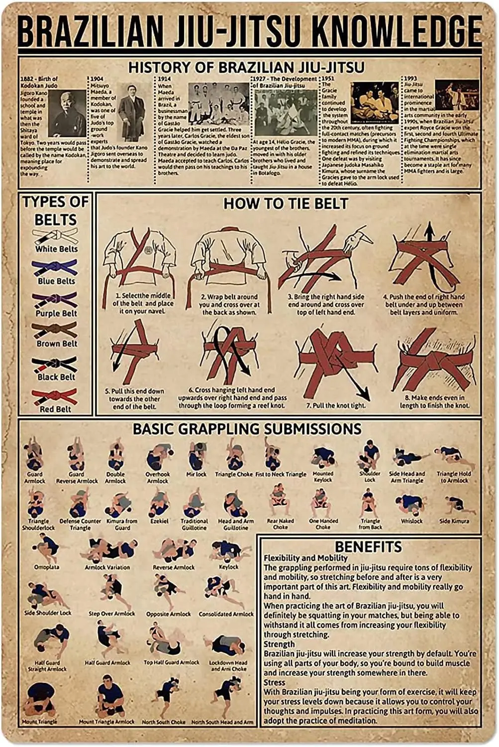 Panneau métallique éducatif Jiu-Jitsu : Guide d'éducation au Jiu-Jitsu Brésilien, Affiche pour la décoration murale des salles d'arts martiaux, clubs, écoles et maisons