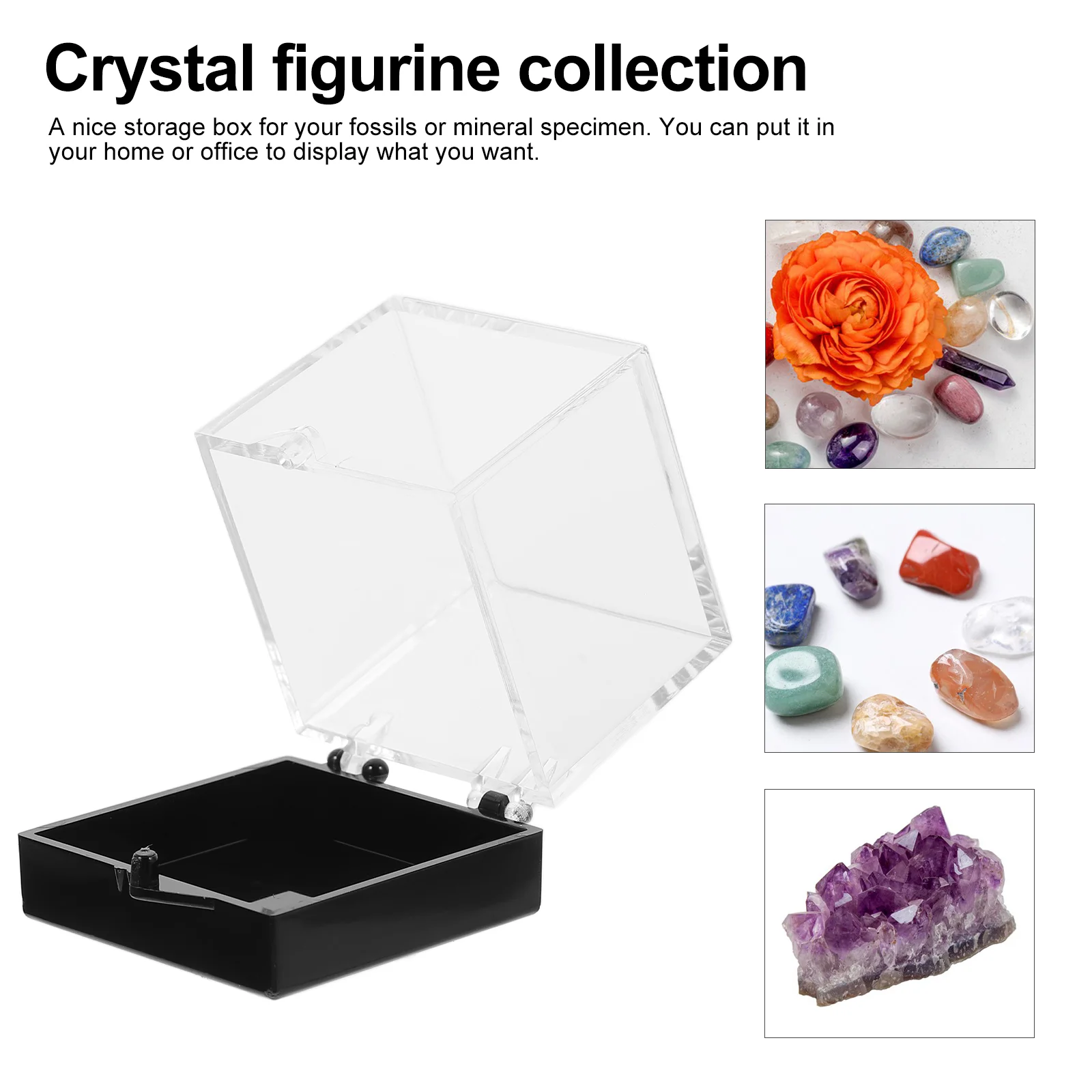 6 Pcs Specimen Display Box Storage Boxes Case Accessories Jewelry Plastic Clear for Collectibles