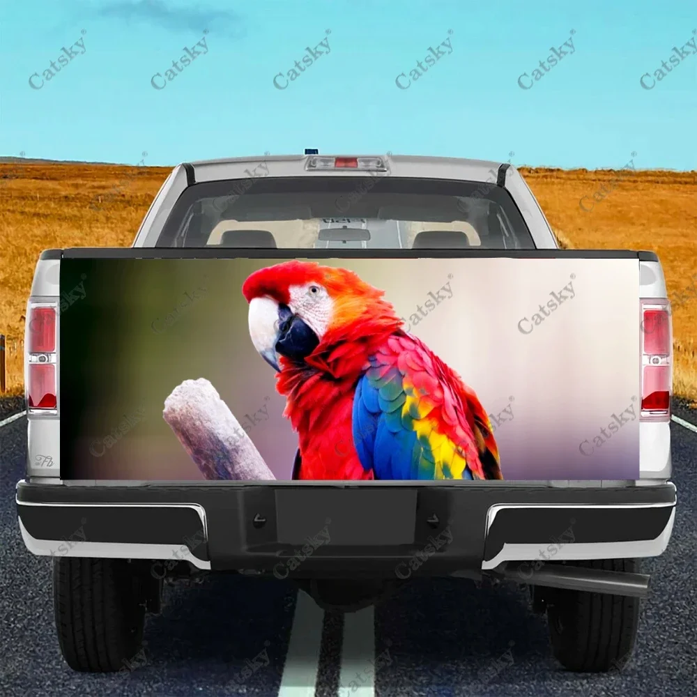 parrot animal cute Car stickers rear modification accessories vinyl suitable for cars trucks off-road vehicles SUV stickers