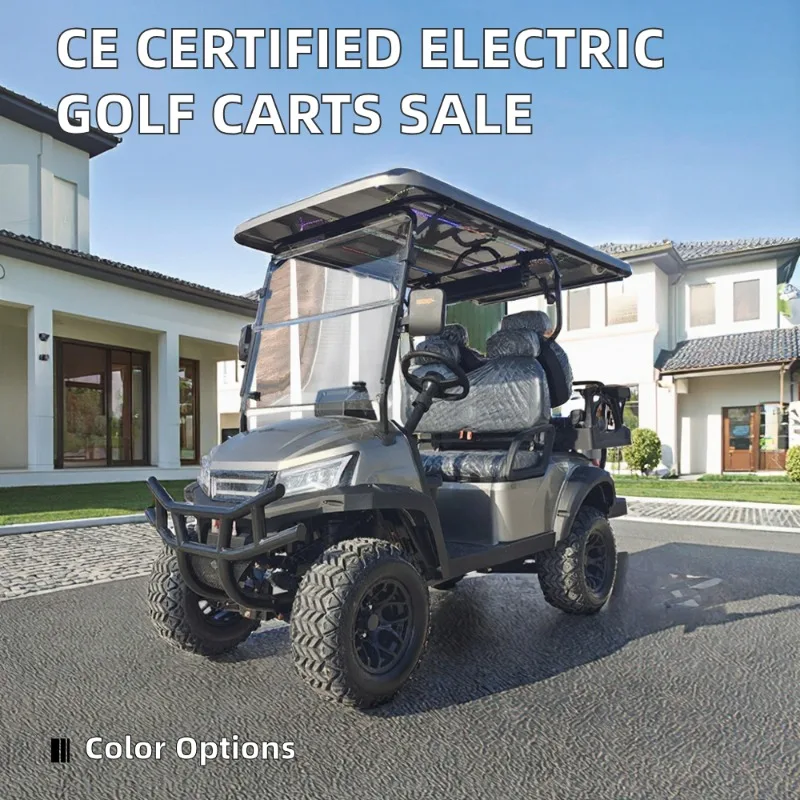 Airo BEEMOTOR CE Certified Electric Golf Carts Curtis Controller 72V Battery Power 4 Stroke Engine Buggy Car 100KM Range