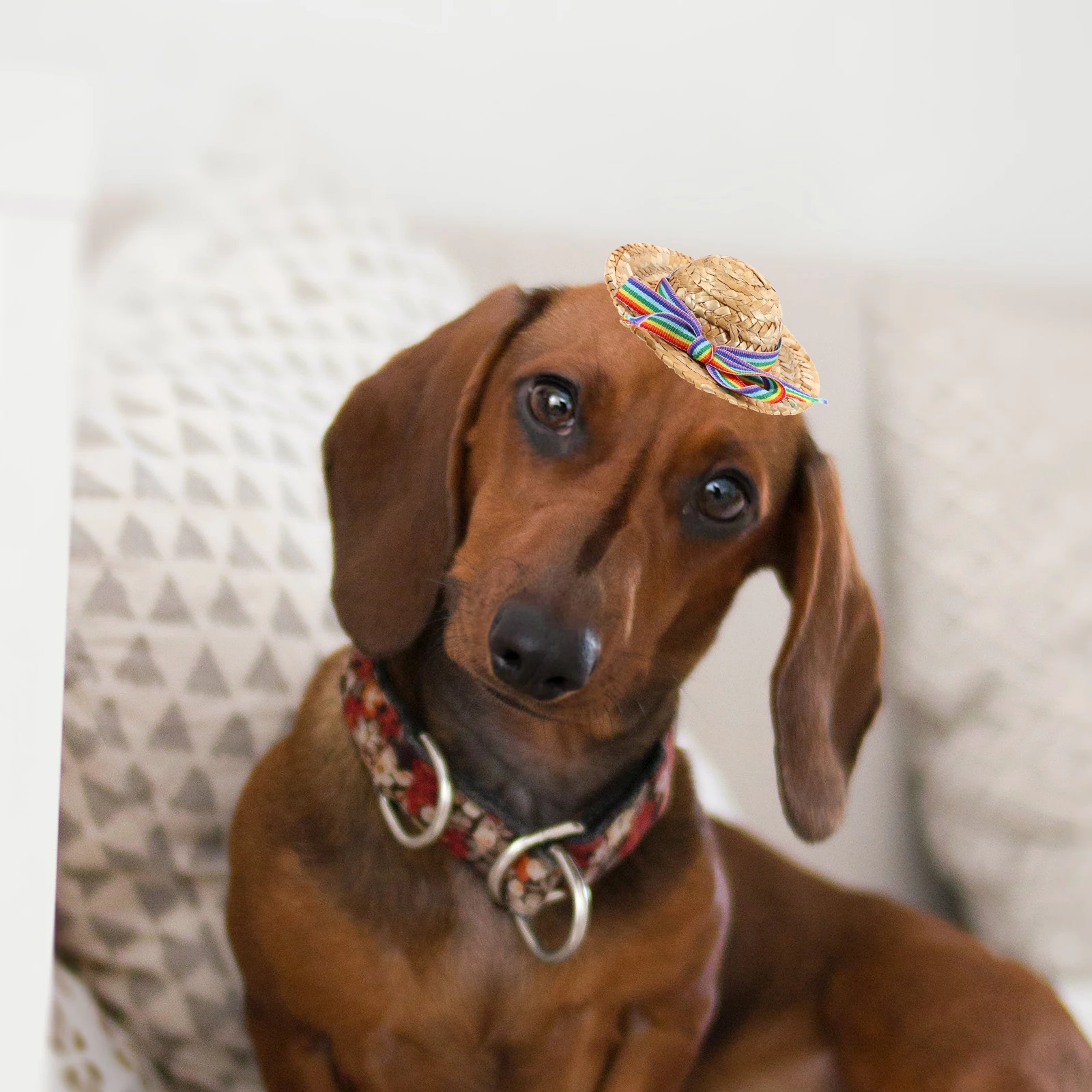 

Pet Straw Hat Woven Rustic Costume Cap Stylish Pet Dress Up Headdress Party Photo Prop Dog Puppy Hat Photo Prop