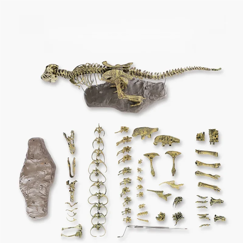 ของเล่นโครงกระดูกไดโนเสาร์ 4 ม - Model Kit Jurassic Park บทวิจารณ์และราคา