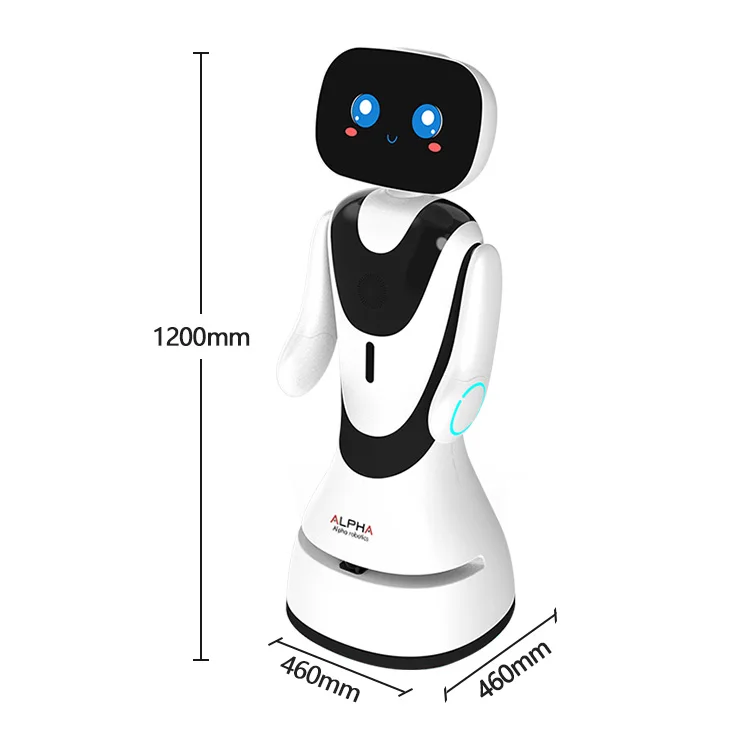 Asystent odbioru Wielofunkcyjne roboty odbiorcze dla interakcji klienta Robot odbiorczy Witamy