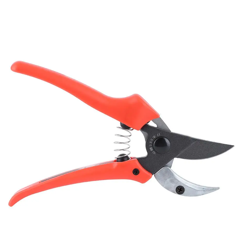 

Premium Bonsai Pruning Shears - Garden Clippers & Hand Trimmers for Fruit Trees - Precision Scissors for Pruning