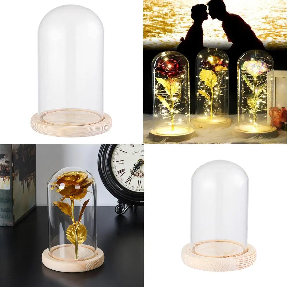 Dry Flower Glass Dust Cover Wooden Base Transparent Bottle Plants Fairy Lights Glass Vase Terrarium Tabletop Home Decor