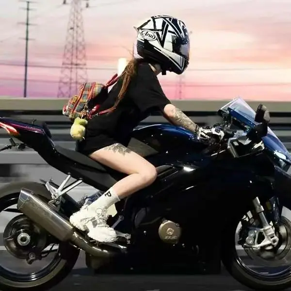 BikePenR GPS en Navigatie montagesteun HD-1 voor Harley Davidson Street Glide