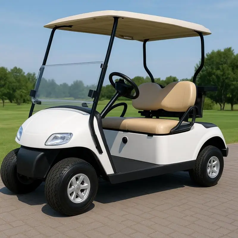 

Электрическая тележка для гольфа, 2-местная, 48 В, литиевая батарея, тележка для гольфа для взрослых, бесшумный автомобиль для гольфа на большие расстояния