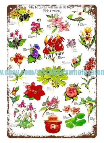 1980s flowers species chart metal tin sign home decor sites