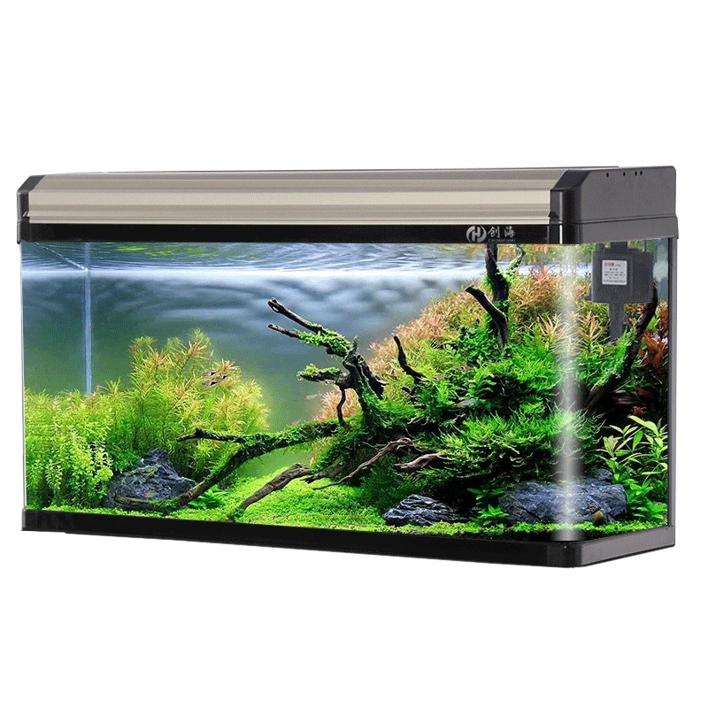 

Desktop living room household medium glass floor-to-ceiling against the wall rectangular lazy water-free aquarium