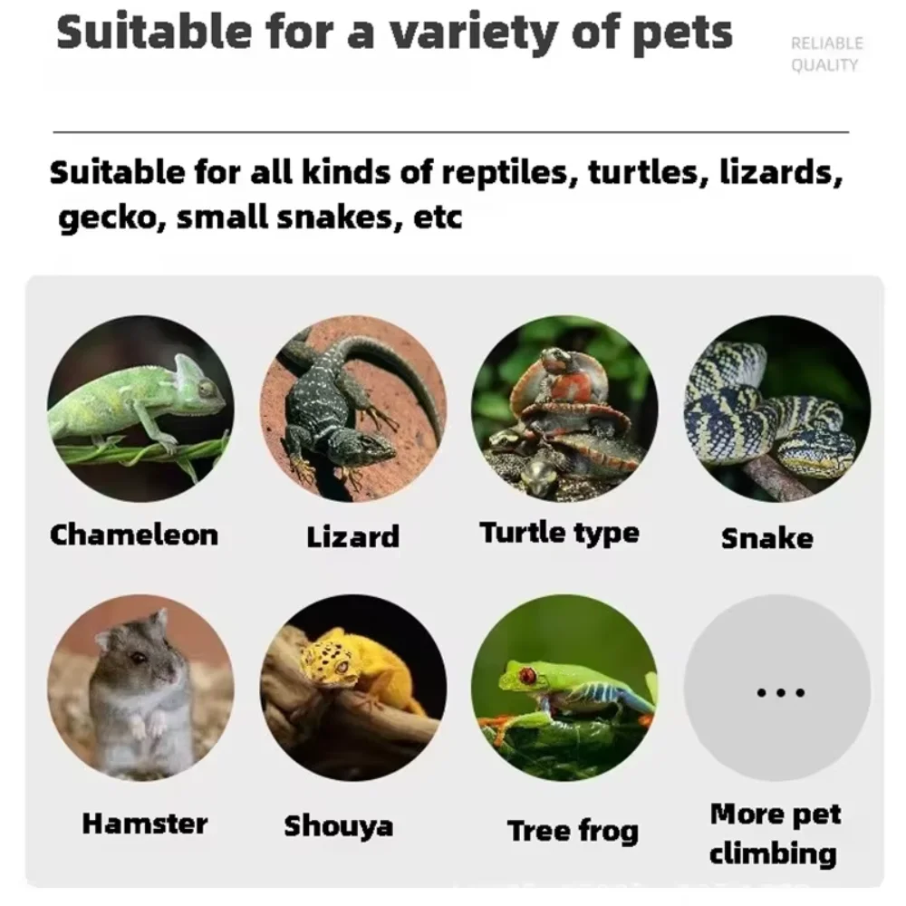 Reptile Cage Reptile Tank Portable Breeding Box Reptiles Habitat Air Screen Cages for Frog Pet Transport Bearded Dragon Turtles