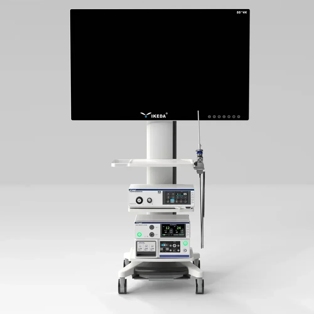 Hot Sale Complete S… - image