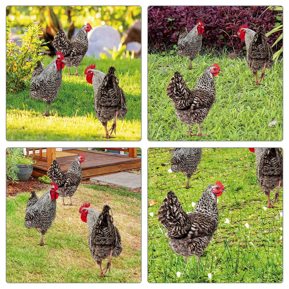 

3Pcs Outdoor Yard Chicken Stake Artistic Garden Decoration Easy Install Durable Acrylic Material Long Lasting Lawn Animal Insert