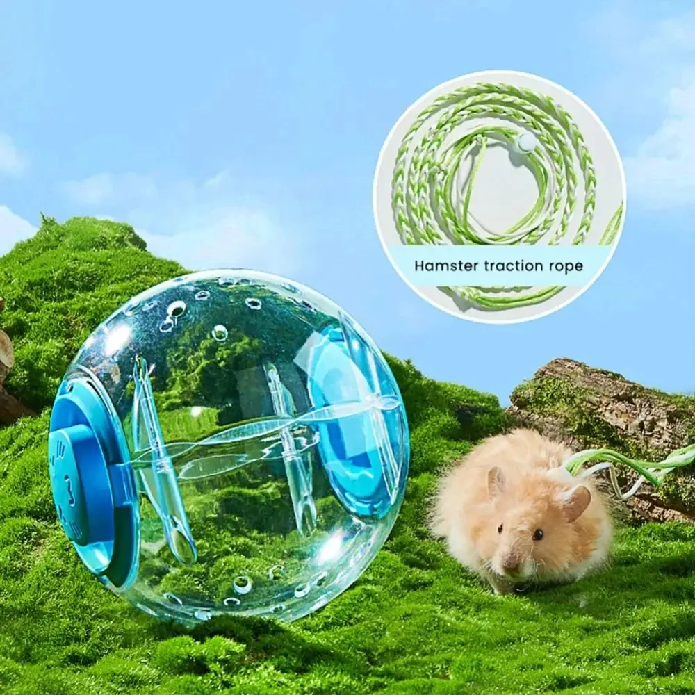 Thumbnail 4 - #36 Latest Hamster Exercise Wheels Offers