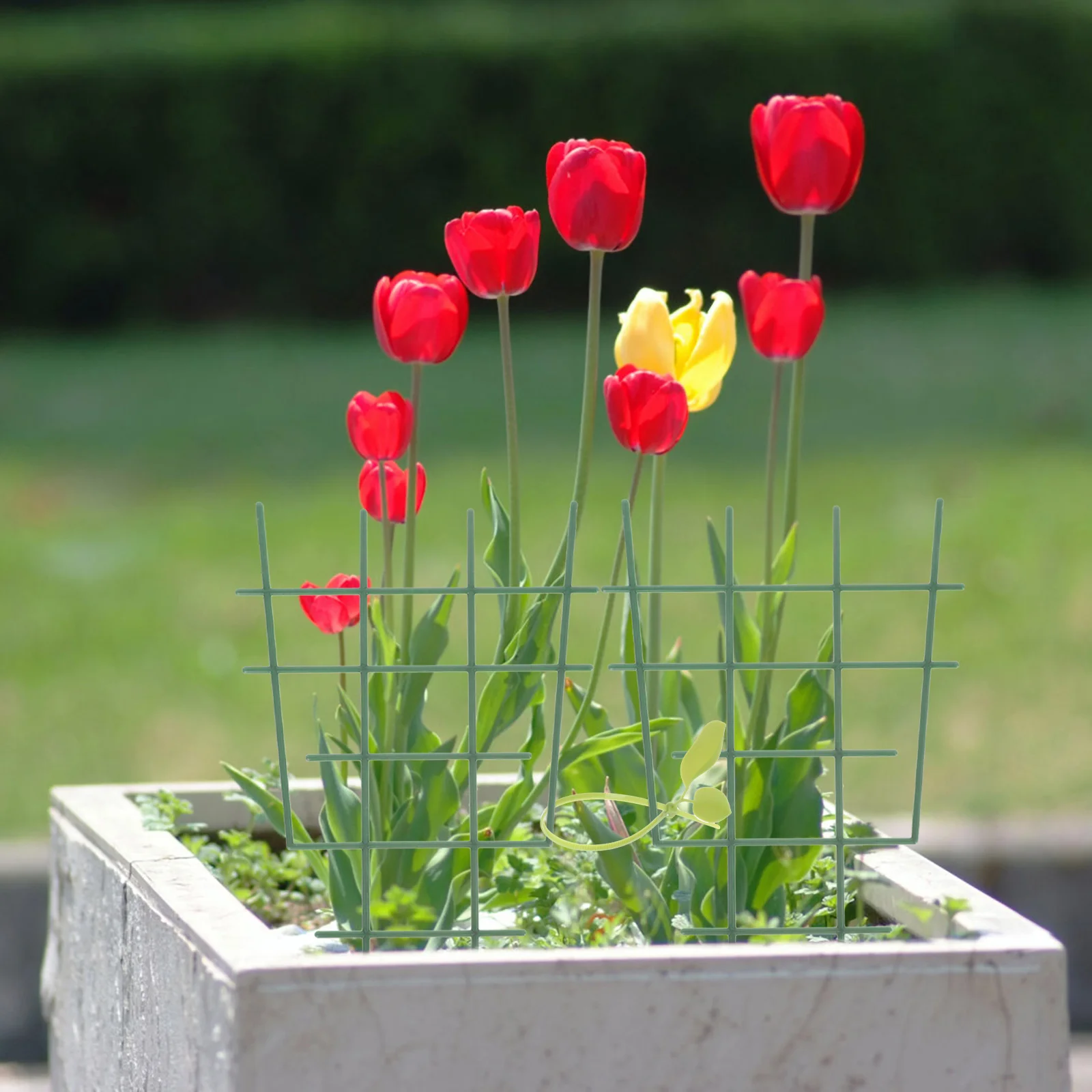 

Plant Support Trellis Durable Reusable Climbing St for Patio Lawn Garden Courtyard Plastic Vines Holder Gardening Tool Vine