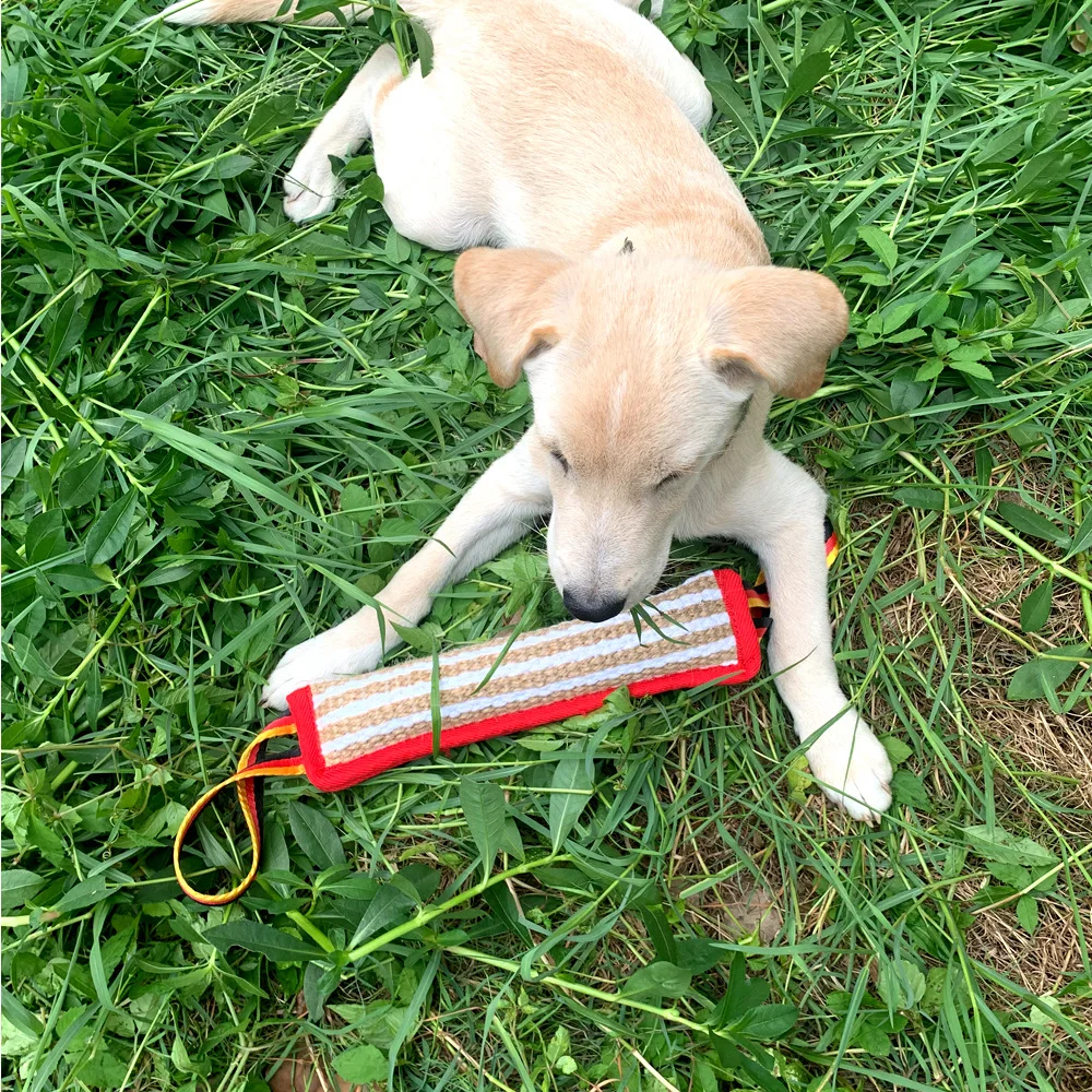 Hunde trainings spielzeug Robustes grobes Hanf beißstab Interaktives Hundes chlepper spielzeug mit 2 stabilen Griffen für mittlere bis große Rassen