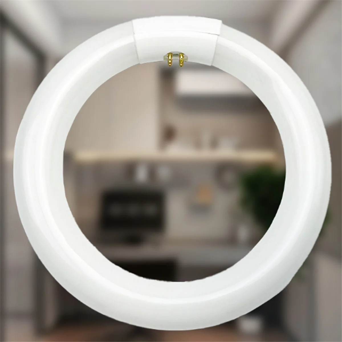 for FC8T9/CW Light Bulb 2pcs FC8T9/CW Circular Fluorescent Light Bulb8Inch Round T9 22W Circline Bulbs Replacement for Circle Ce
