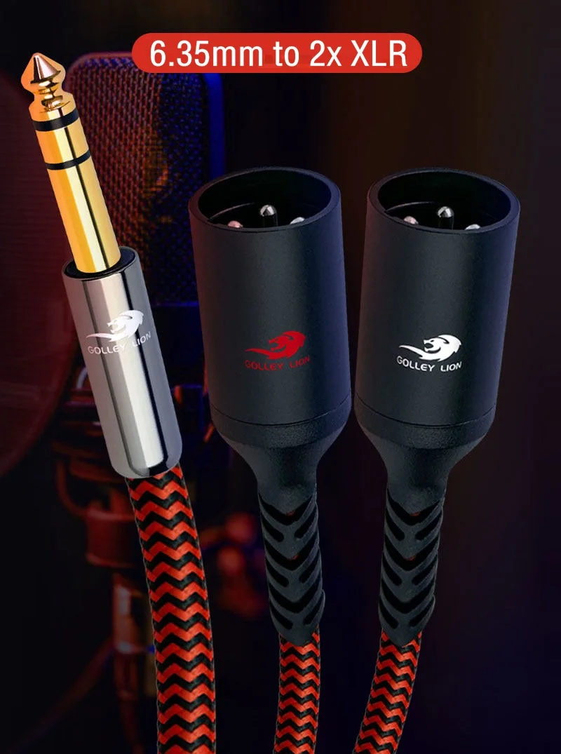 1/4 Inch TRS 6.35mm to Dual XLR Male Audio Cable for Microphone DV Camera Camcorder Stereo System Y Splitter Shielded Cords