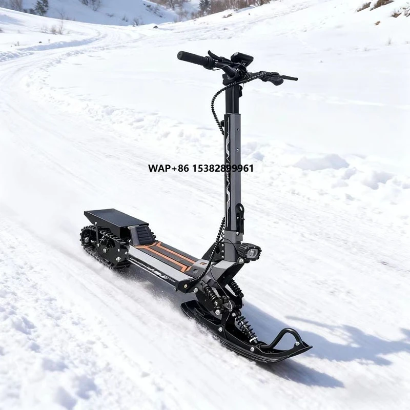 48V Max Speed LCD Display Electric Dual-Purpose Snowmobile with Road & Snow Compatibility 48V Load Capacity