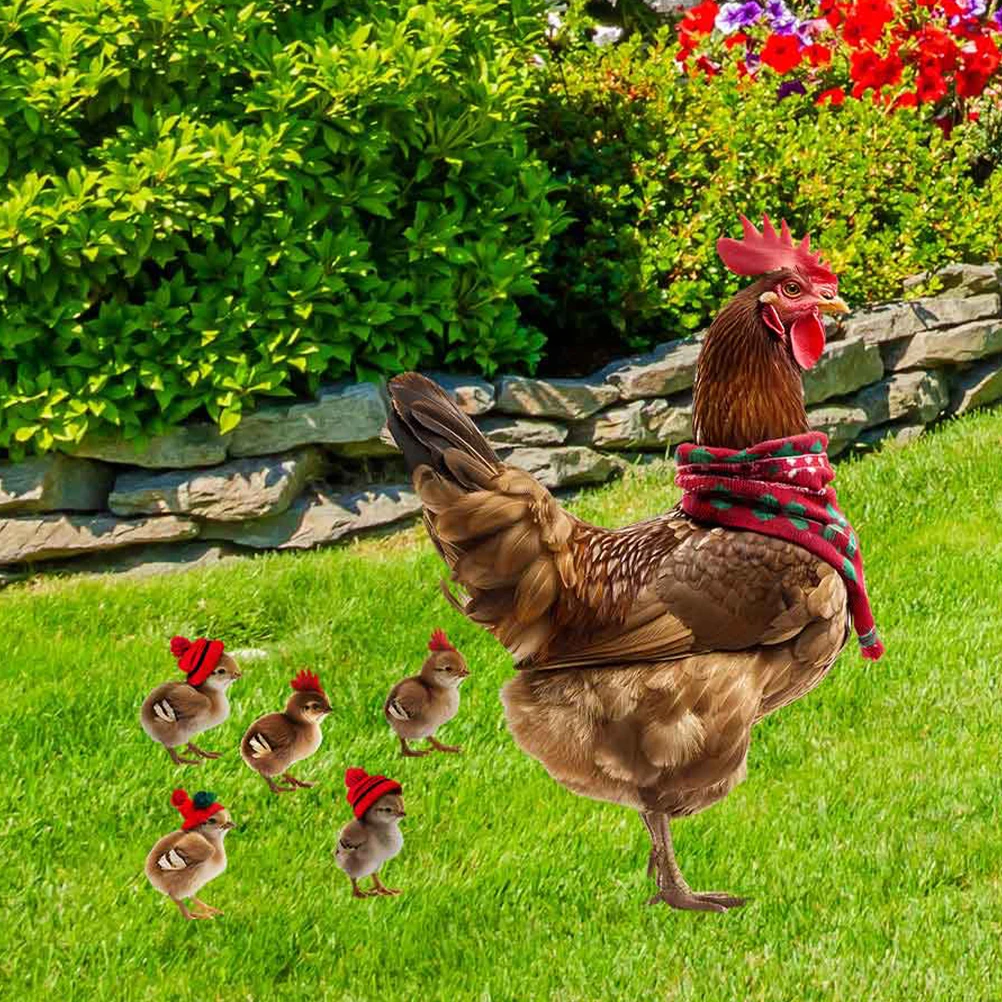 

6 Pieces Iron Garden Decoration Double Sided Chicken Stake Yard Signs Realistic Shape Color Lawn Ornament Stakes Set