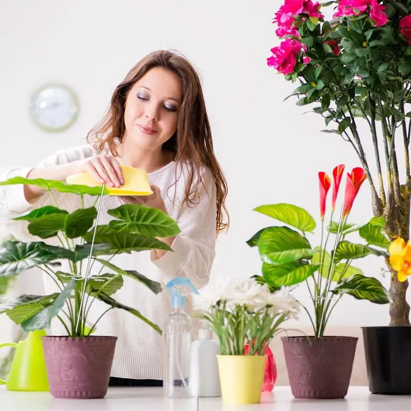 Imagem -02 - Estaca de Planta Acrílica para Jardim Suporte para Plantas em Vasos Hastes Claras Ganchos Suporte Interno e Externo Estacas de Pátio