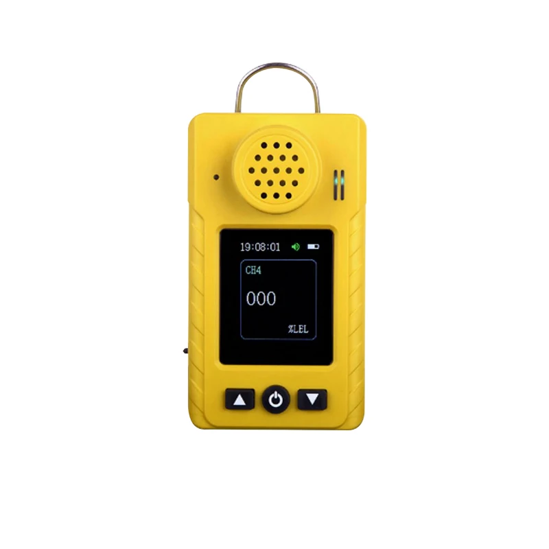 

Manufacturer Product Portable Ozone Gas Leak Detector With Data Records