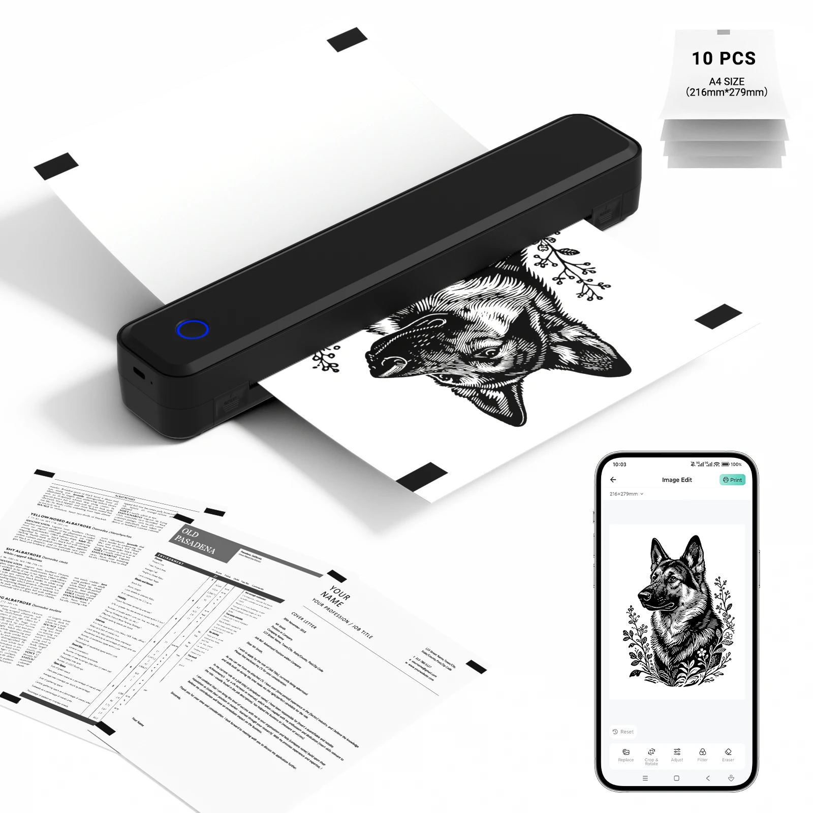 Where Does Paper Go in a Printer? The 2026 Guide to Tray Types & Loading Them Correctly