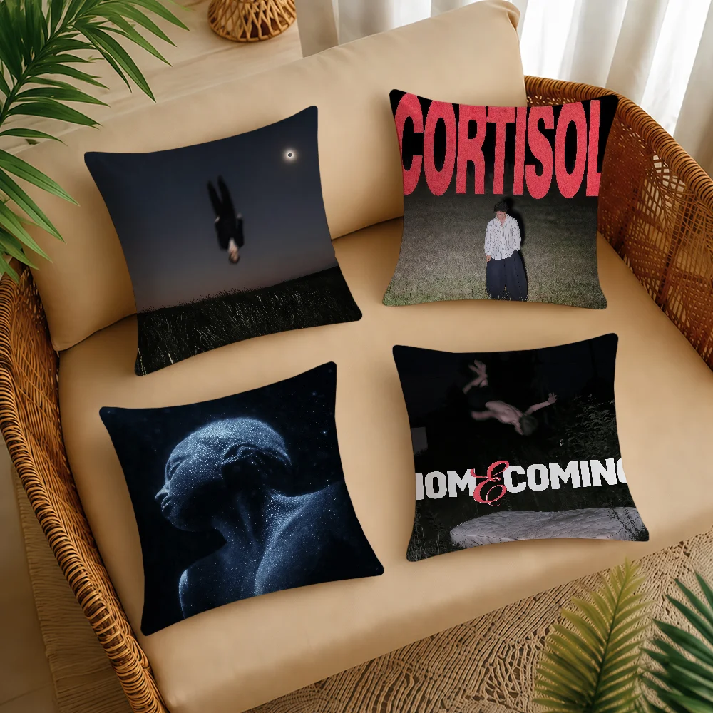 EUPHORIA S-SALUKIS-ES Housse de coussin carrée décorative, taie d'oreiller pour canapé, lit, salon, cadeaux d'anniversaire