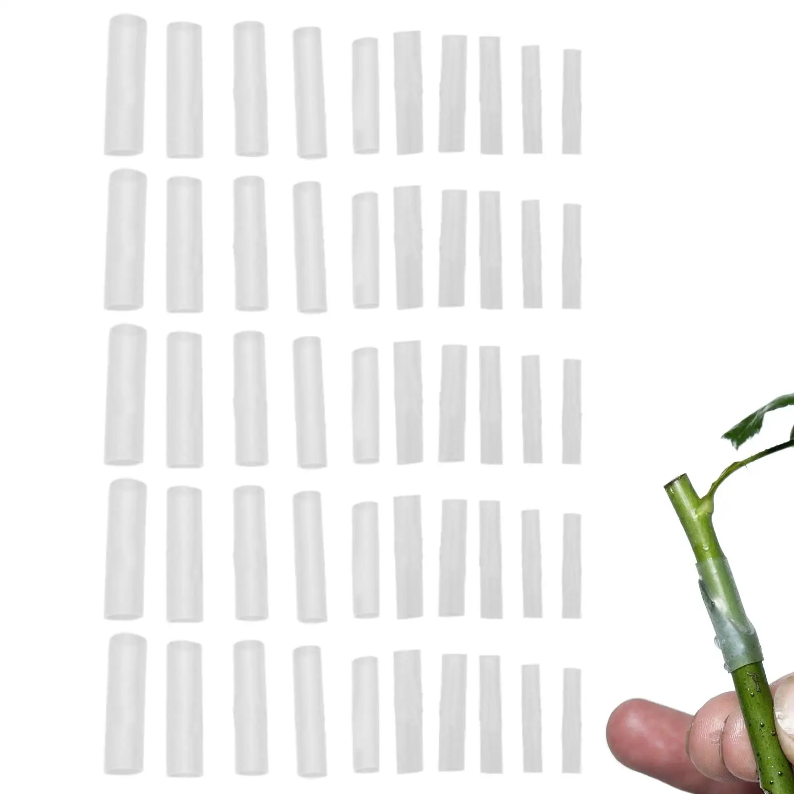 Mangas de injerto especiales para jardinería, 50 Uds., mangas de injerto de tomate, mangas de injerto de berenjena vegetal, accesorios para plantas de jardín