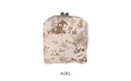 AOR1