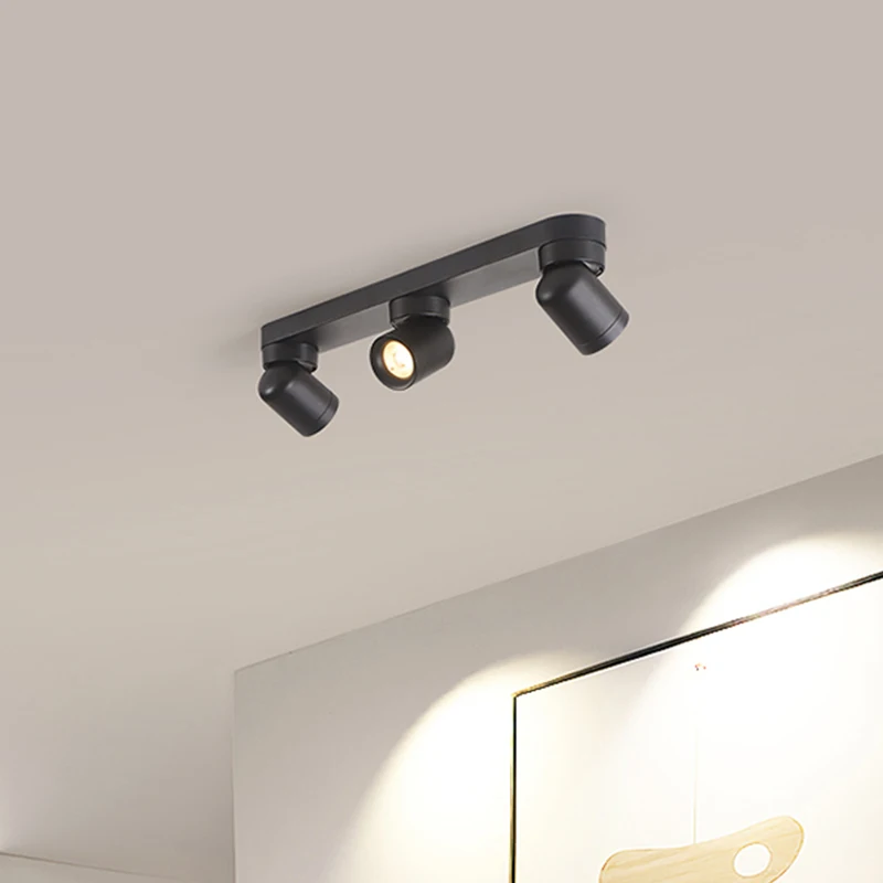 Nordic Dual Head Triple Head Ceiling Light with Adjustable Angle Rotating LED Spotlight for Dressing Room Foyer Exposed Lighting
