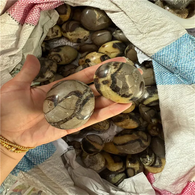1000g Septarian Palm Stone, Stone for jewelry making, Massage Rocks, Ideal for Home Decoration, Stone Collectibles