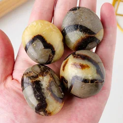 1Pc Natural Septarium Tumble Stone Polished Dragon Septarian Reiki Quartz Crystal Mineral Specimen Collection Home Decoration