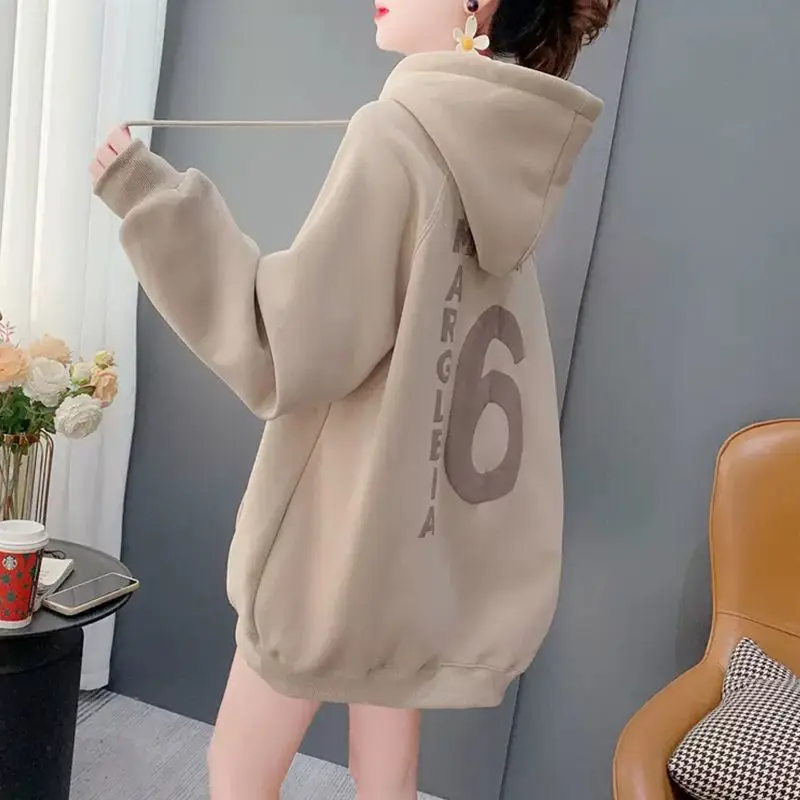 Aesthetic Korean Fashion Hoodie Clothes Sweatshirt Cute Hoodies for Women Loose Pink Casual Hooded Tops Female Streetwear Plain