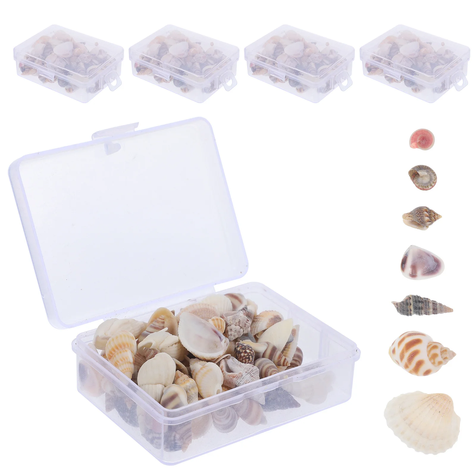 

Decorative Sea Shell Conch Natural Shells For Vase Filling Diy Home Decor Ocean Themed Ornaments Aquarium Decoration Party