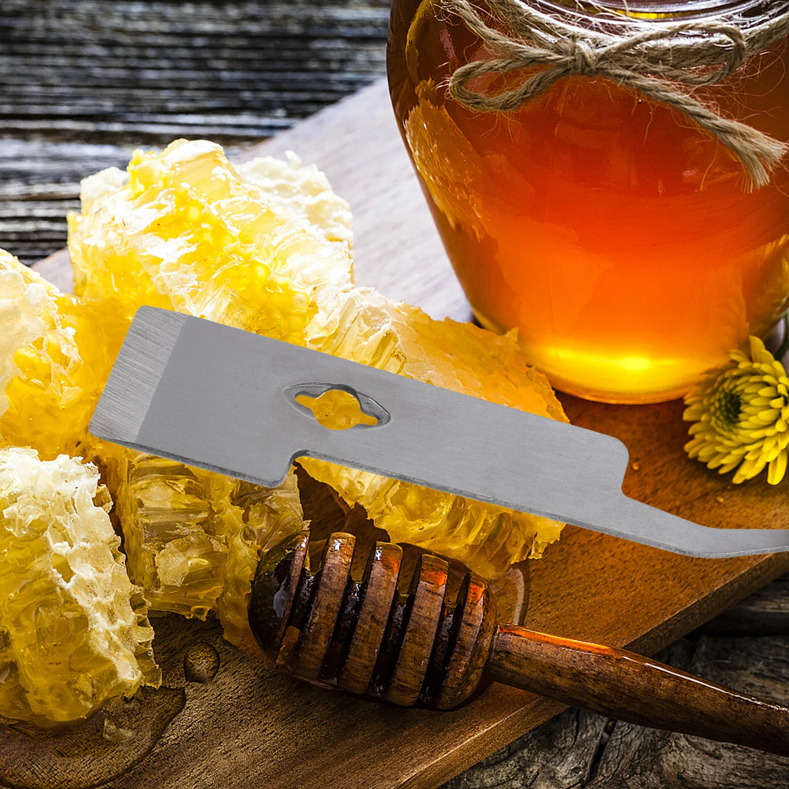 

Stainless Steel Beehive Scraper Practical Beekeeping Tool for Separating Box Lifting Scraping Prying Frames Easy Storage Coat
