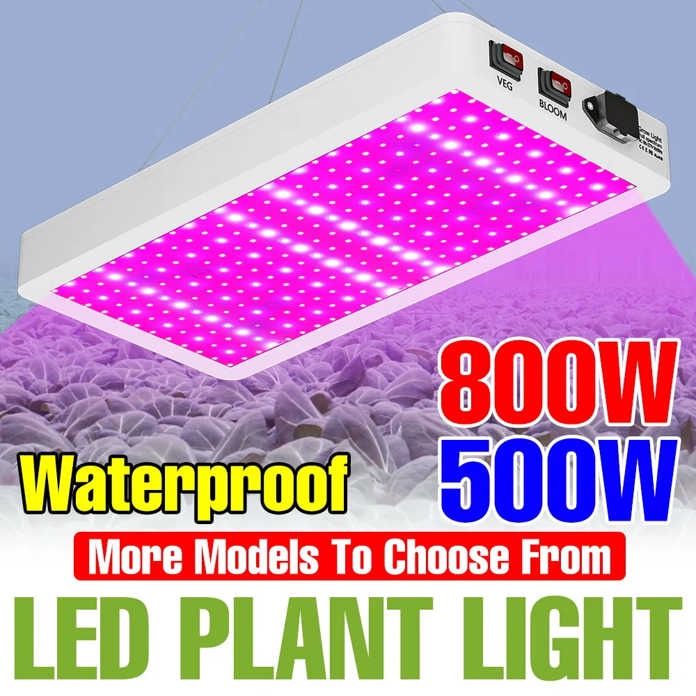 

Светодиодный фитосветильник полного спектра 800 Вт, 220 В, для выращивания рассады, теплиц, гроубоксов, фруктов, овощей, гидропоники