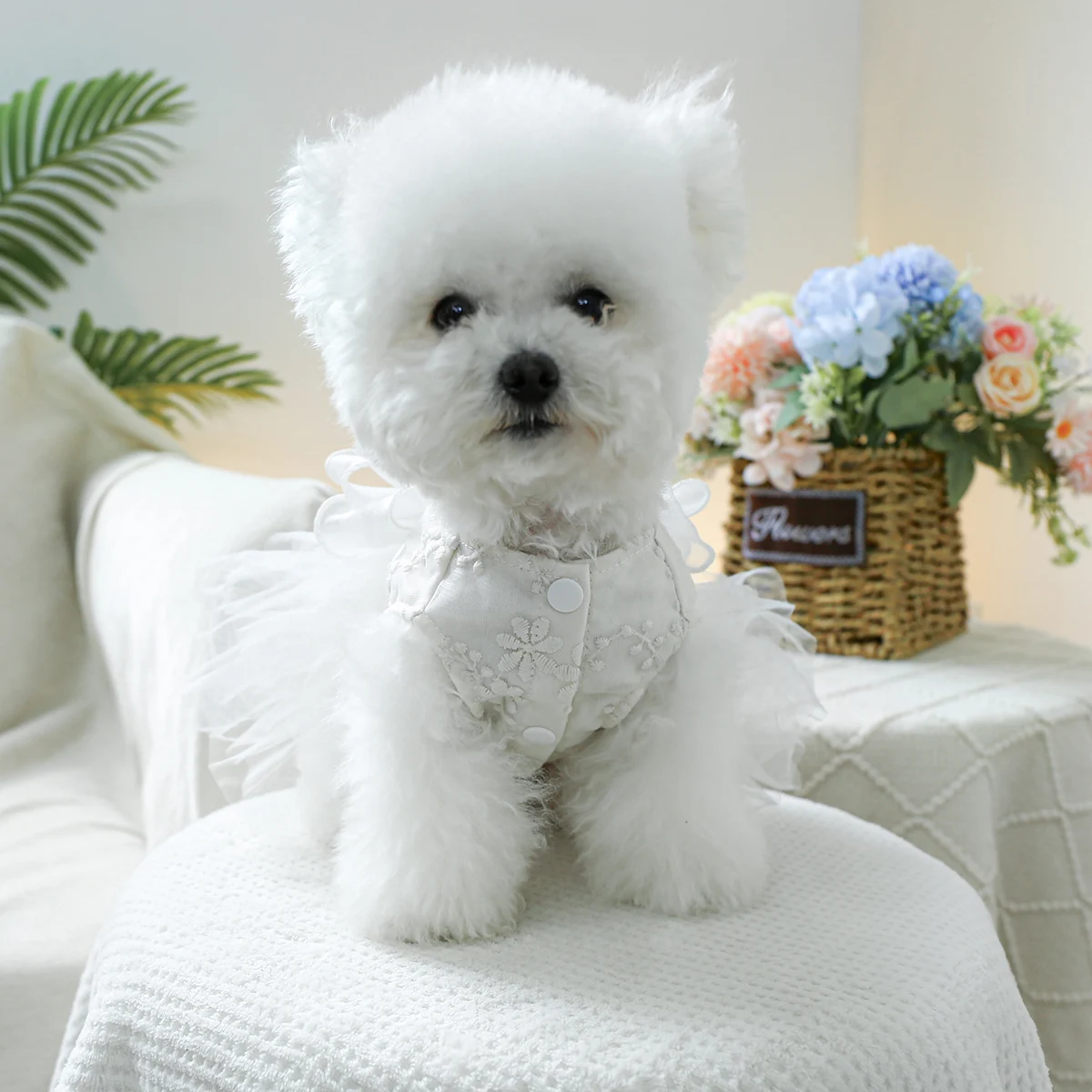 1PC Pet Clothing Spring and Autumn White Corolla Dress Wedding Dress Princess Dress Suitable for Small and Medium sized Dogs