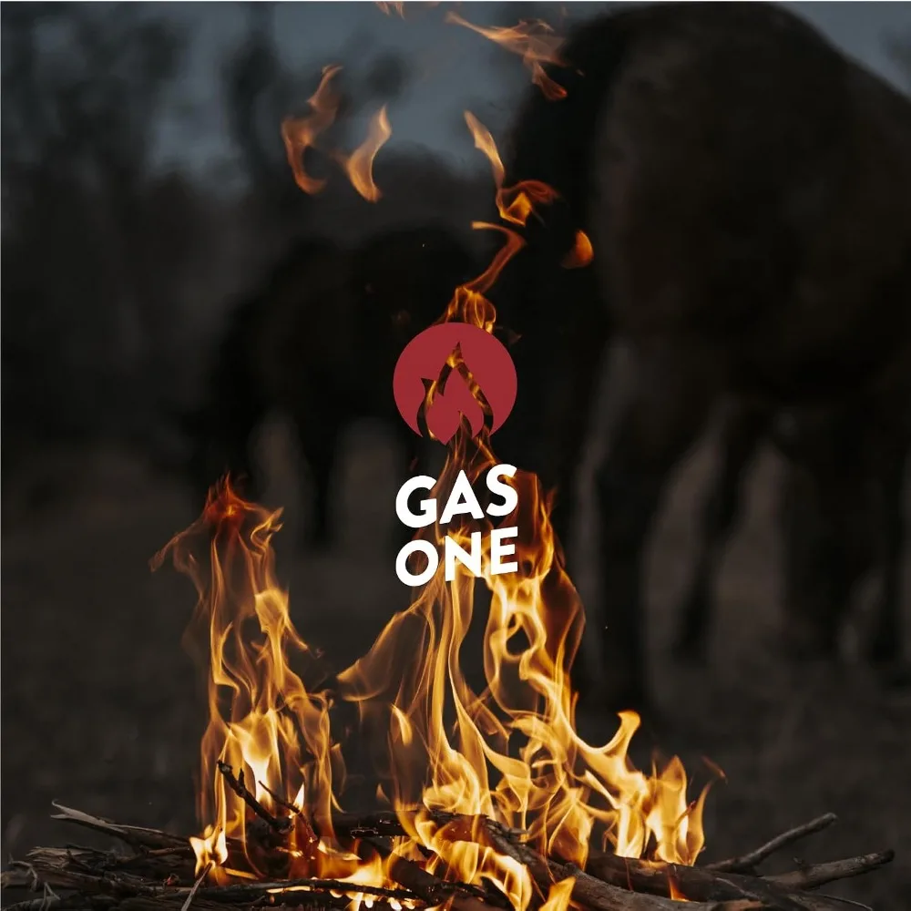 Poisson de foyer extérieur en acier durable - Cheminée à bois GasOne de 23 pouces pour jardin et porche