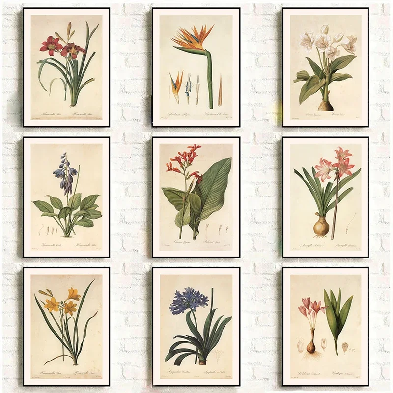 Vintage Classic Rhizome Knowledge Plant Flowers Illustration Poster Canvas Painting Wall Art Pictures Home Room Aesthetic Dec