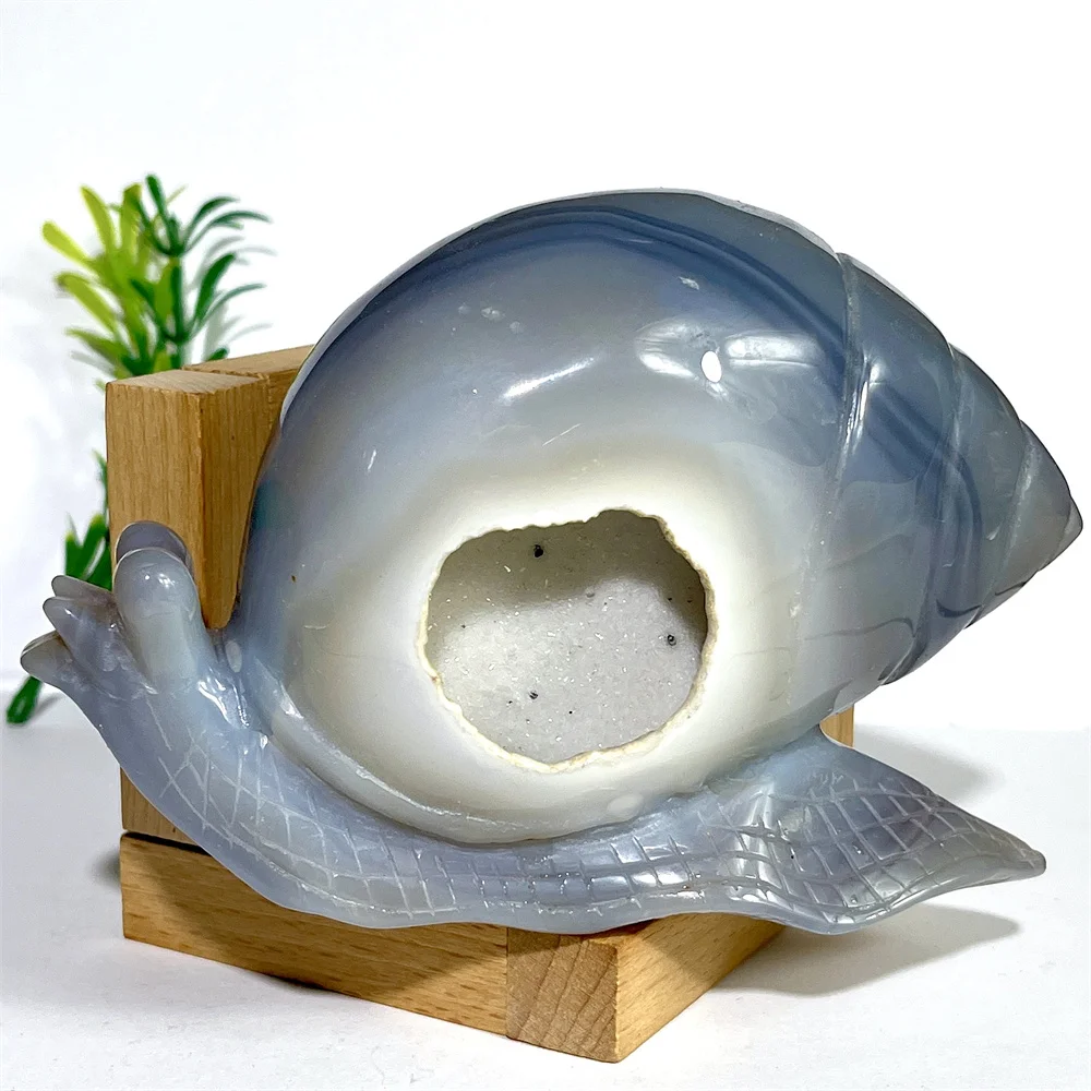 

Для агата Миллиска Улитка Друзы Резьба по драгоценным камню Натуральный кристаллический камень Кварцевая жеода Энергия Домашние украшения Рейки Исцеление +Sta