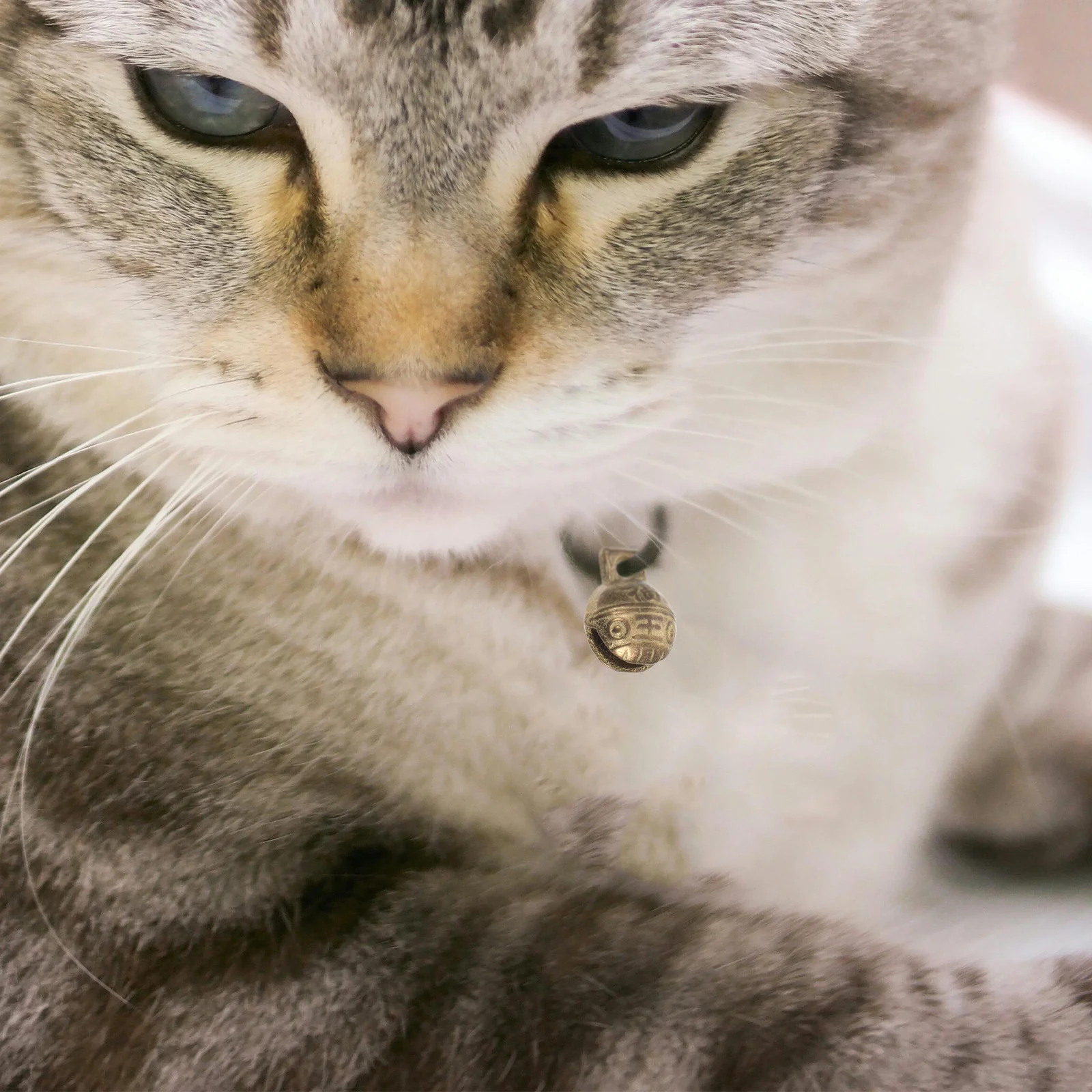 

10Pcs Mini Copper Bells Vintage Style Tiger Face Design for Dog Cat Collar Charms DIY Craft Ornament Pendant Decor Wind Chime