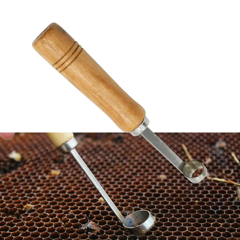 1PC Wooden Handle Spleen Cutter, Cutting Nest Spleen Breeding King Tool Bee Breeding Insect Transfer Tool