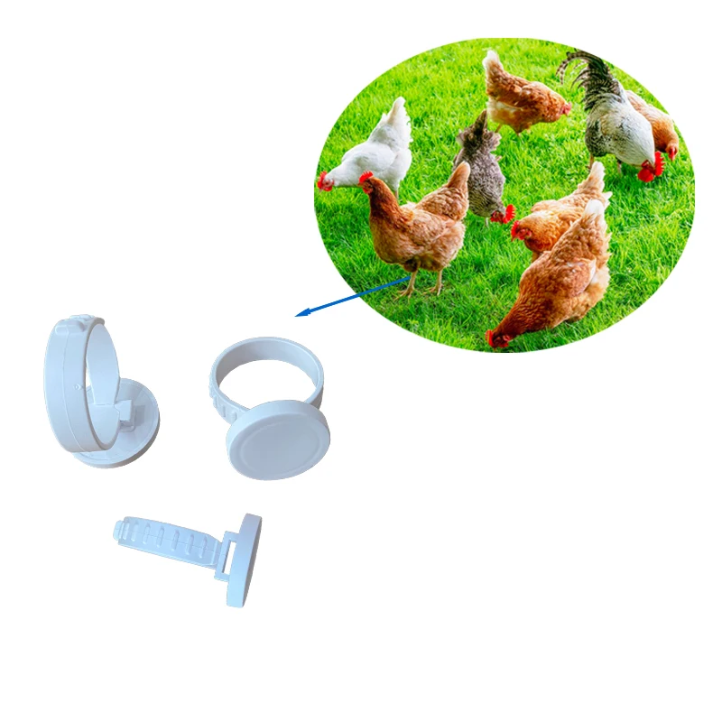 920-925MHZ/865-868MHZ rewrite UHF RFID Electronic Tag adjustable Animal Leg Chicken Foot Ring for Poultry Breeding Management