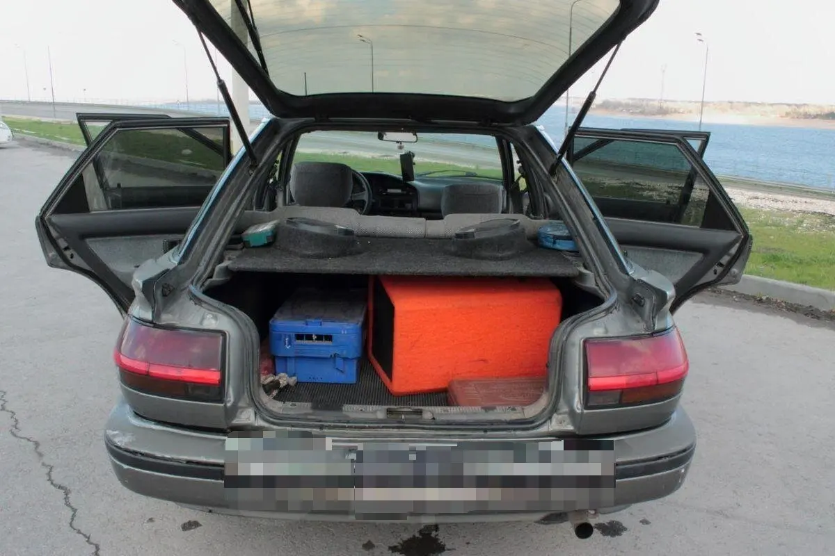 

660MM Back Damper For Toyota Corolla Compact E90 Liftback/Hatchback 1987-1995 Rear Tailgate Boot Gas Spring Struts Lift Support