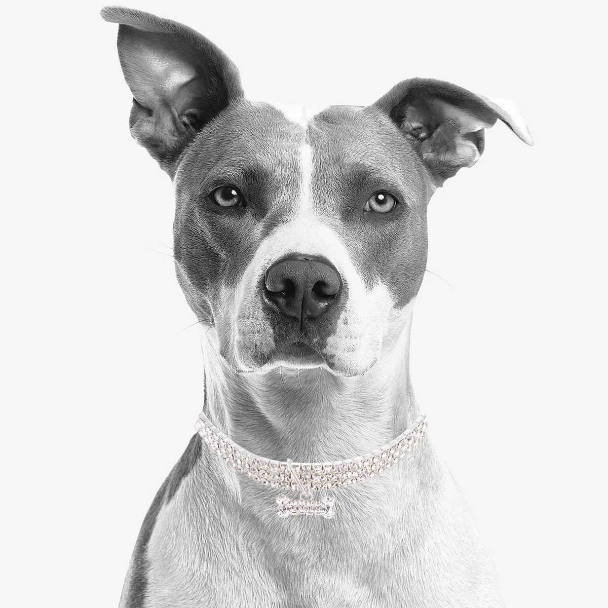 

Shining Rhinestone Adjustable Buckle Chain Dog Collar Mini Bone Pendant White Size S Crystal Collar For Outdoor Walking Pet