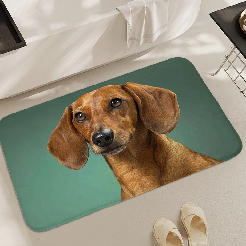 

Dachshund Dog Entrance Door Doormat Washable Non-slip Kitchen Rug Aesthetic Bathroom Mat Bedroom Living Room Floor Carpets