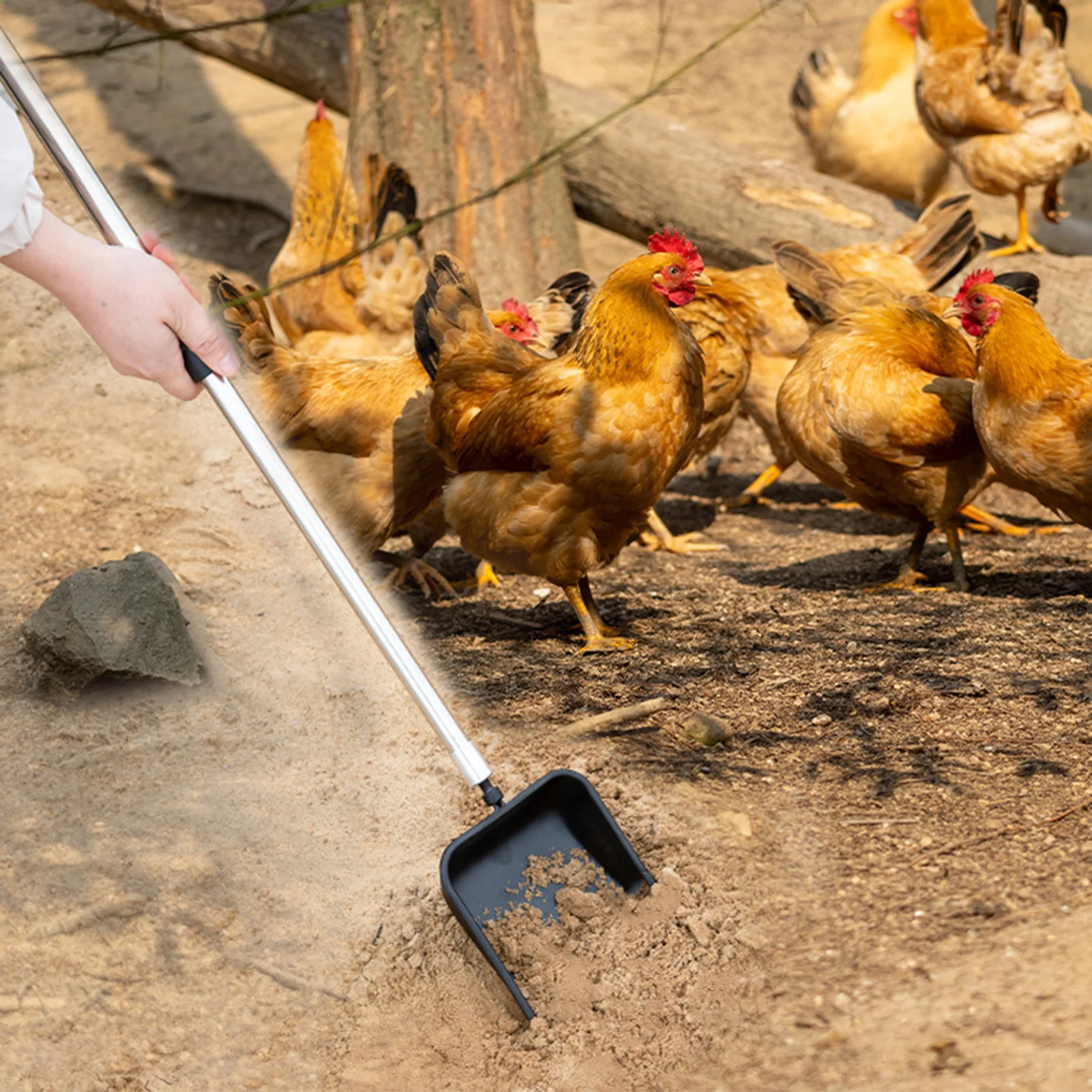 Chicken Manure Shovel with Handle Pick Up Chicken Manure Debris Effectively for Feeding Wild Birds Outside