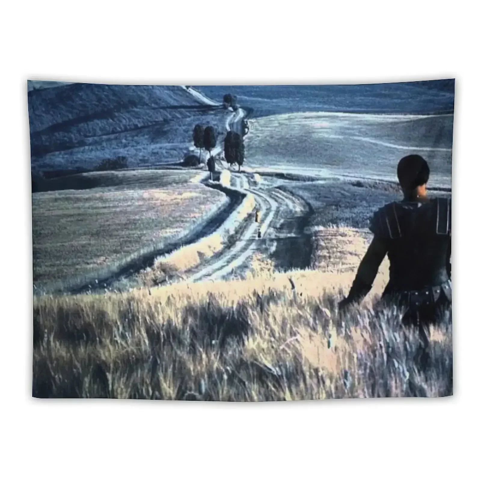 

Gladiator Elysium Fields Tapestry For Bedroom Wall Art Wall Hanging Decor Tapestry